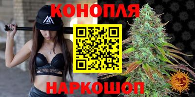 прущие крисы Гуково