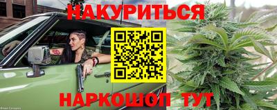 прущие крисы Гуково